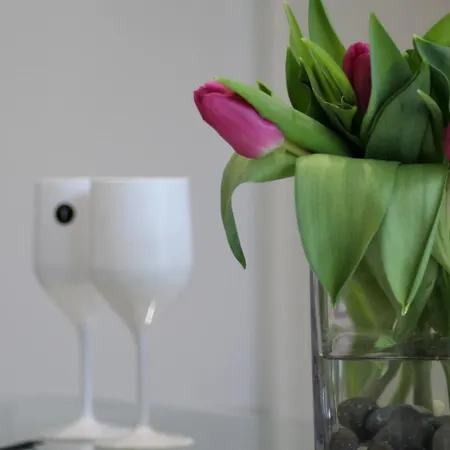 A Few Steps From Basel With Balcony And Free Private Parking * Saint-Louis (Haut-Rhin)