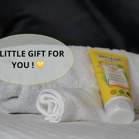 A Few Steps From Basel With Balcony And Free Private Parking *