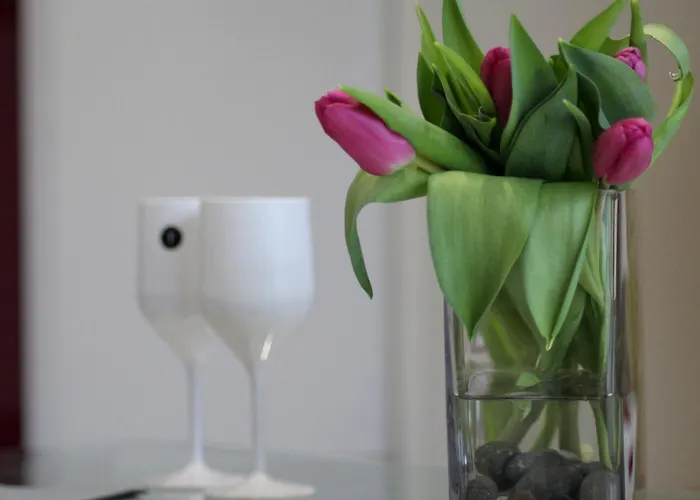 A Few Steps From Basel With Balcony And Free Private Parking * Saint-Louis (Haut-Rhin)