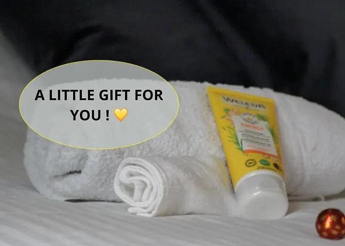 A Few Steps From Basel With Balcony And Free Private Parking *